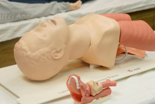 xr:d:DAF2fjVpFII:7,j:2171146780113023199,t:23120914